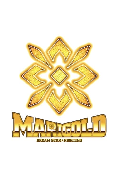 Dream Star★Fighting Marigold (2024) poster