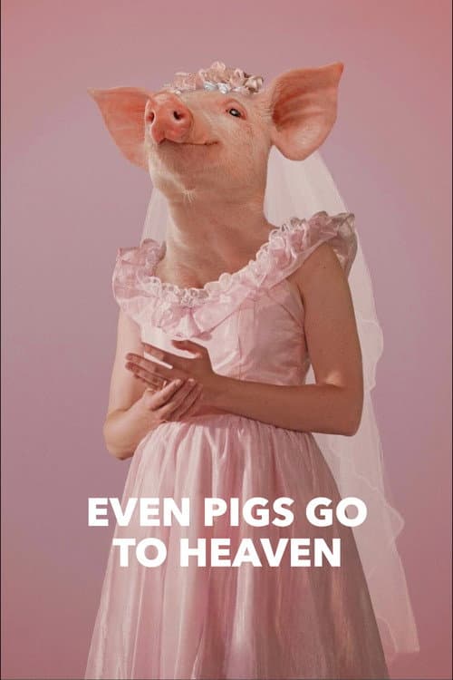 Even Pigs Go to Heaven (2022) poster