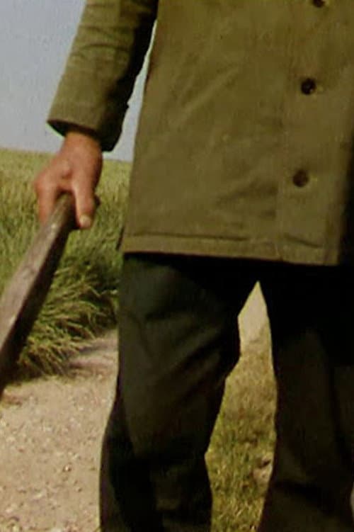 Le Vicinal (1994) poster