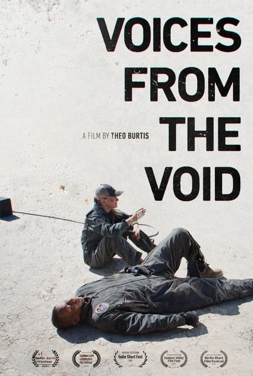 Voices from the Void poster