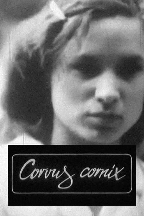 Corvus Cornix - From Latin as Raven (1988) poster