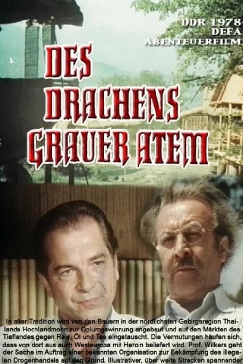 Des Drachens grauer Atem poster