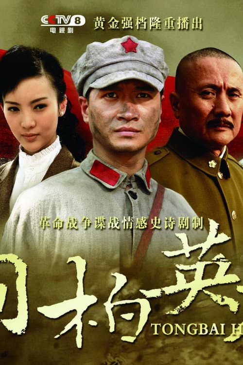 桐柏英雄 (2013) poster