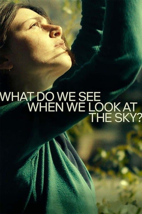 What Do We See When We Look at the Sky? (2021) poster
