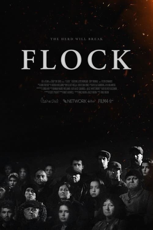 Flock (2025) poster