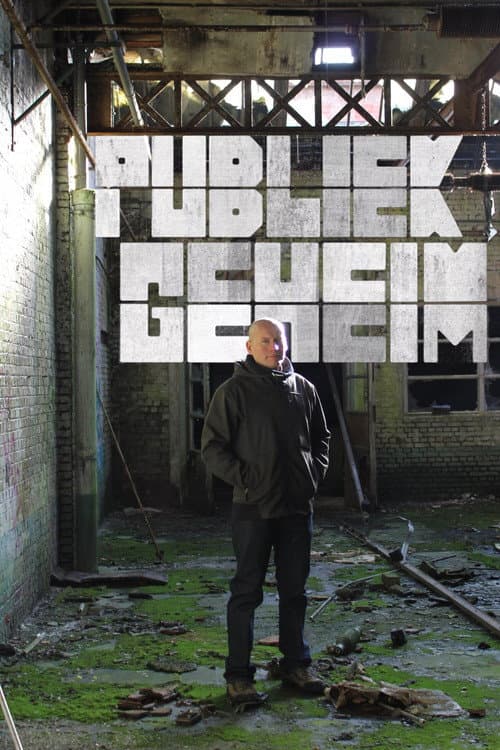 Publiek Geheim (2010) poster