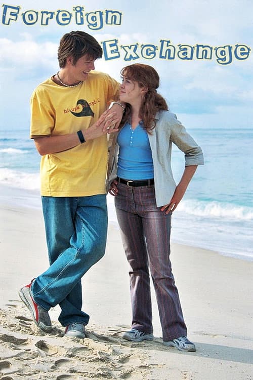Foreign Exchange (2004) poster