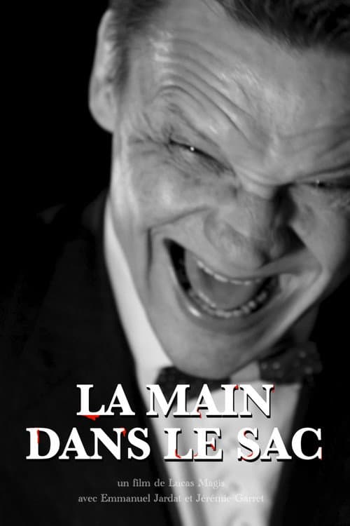 La Main dans le sac poster