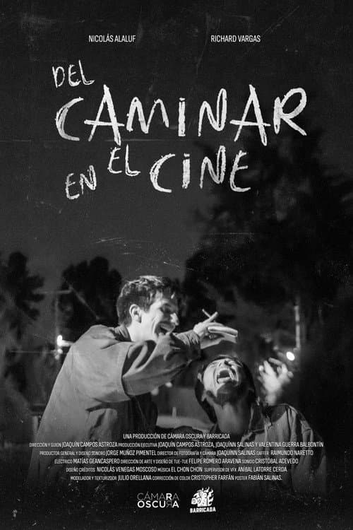 On Walking in Cinema poster