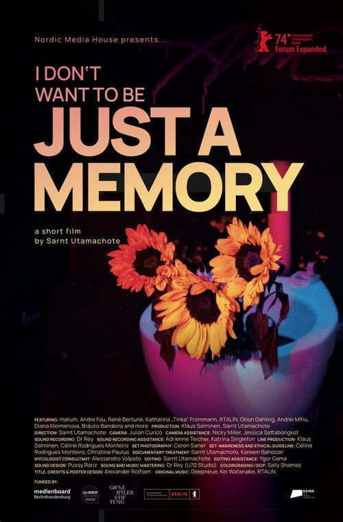 I Don’t Want to Be Just a Memory poster