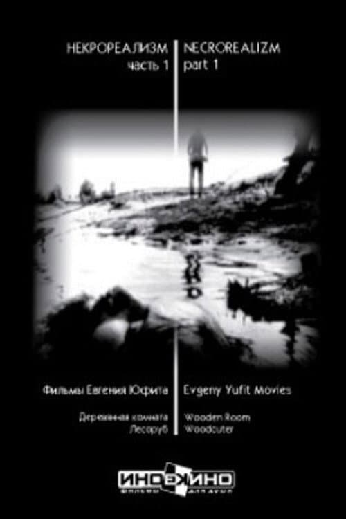 The Wooden Room (1995) poster