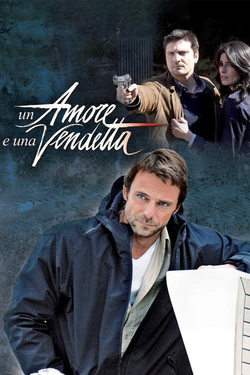 Un amore e una vendetta (2011) poster