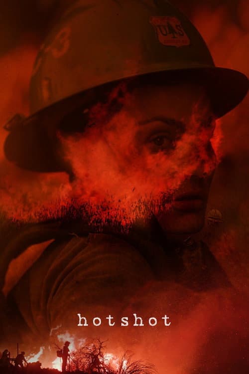 Hotshot poster