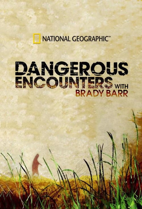 Dangerous Encounters (2005) poster