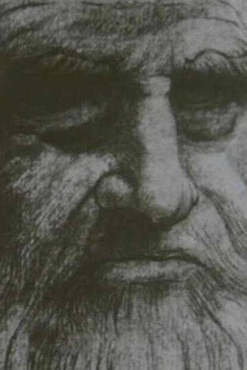 Leonardo Da Vinci The Tragic Pursuit of Perfection poster