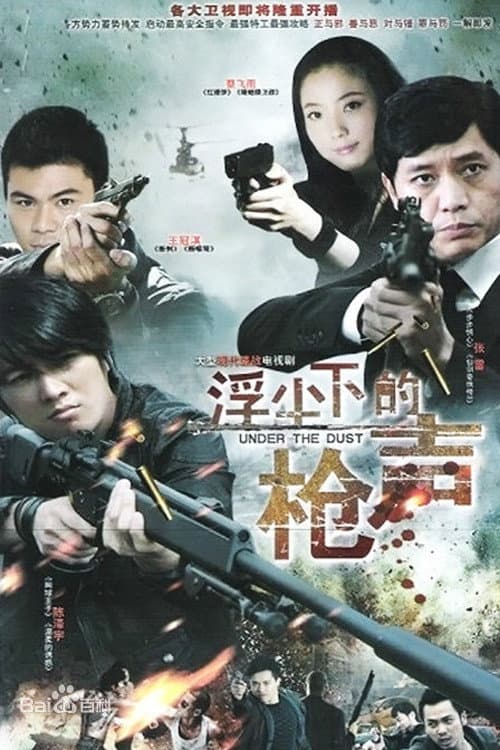 浮尘下的枪声 (2012) poster