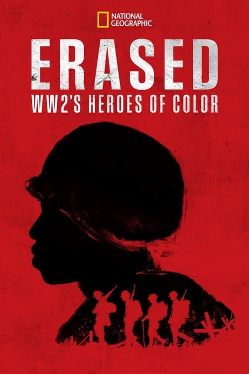Erased: WW2's Heroes of Color (2024) poster