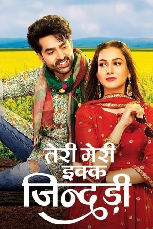 Teri Meri Ikk Jindri poster