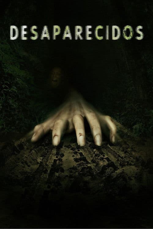 Missing (2011) poster