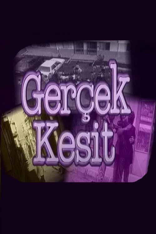 Gerçek Kesit (1993) poster