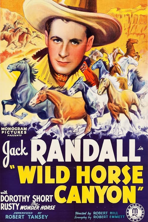 Wild Horse Canyon (1938) poster