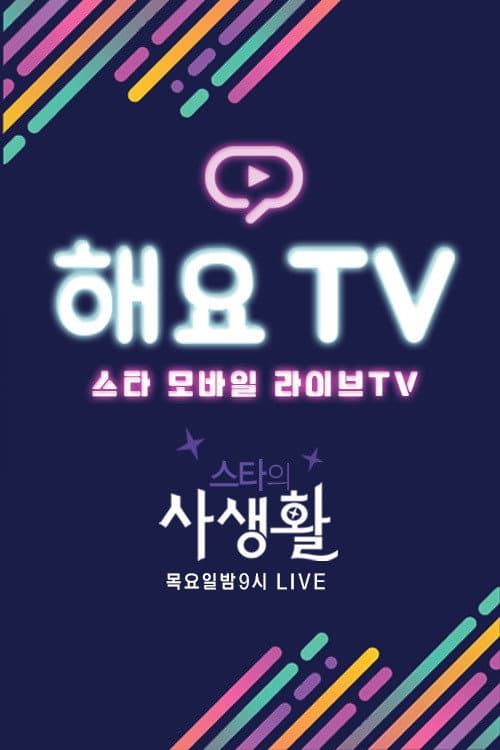 Private Life of KpopStar poster