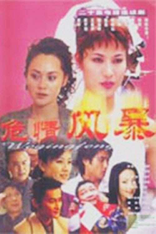危情风暴 (2001) poster