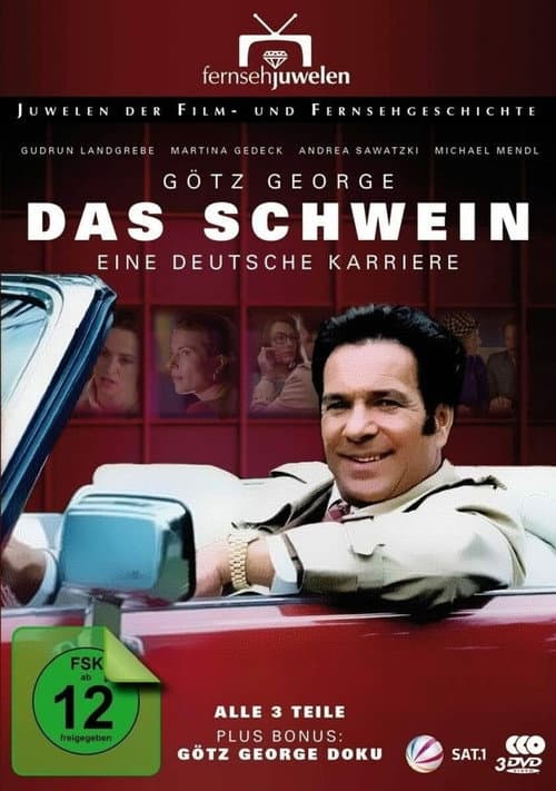 Das Schwein - Eine deutsche Karriere (1995) poster