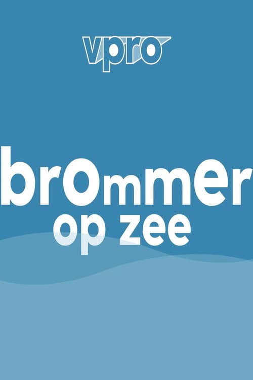Brommer op zee poster