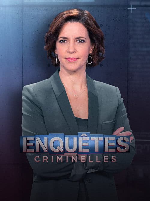 Enquêtes criminelles (2008) poster