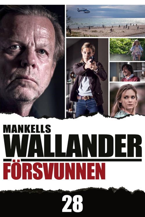 Wallander: Missing (2013) poster
