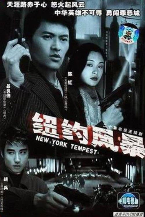 纽约风暴 (1996) poster