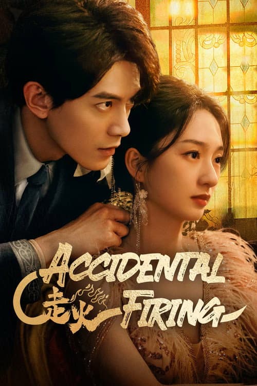 Accidental Firing poster