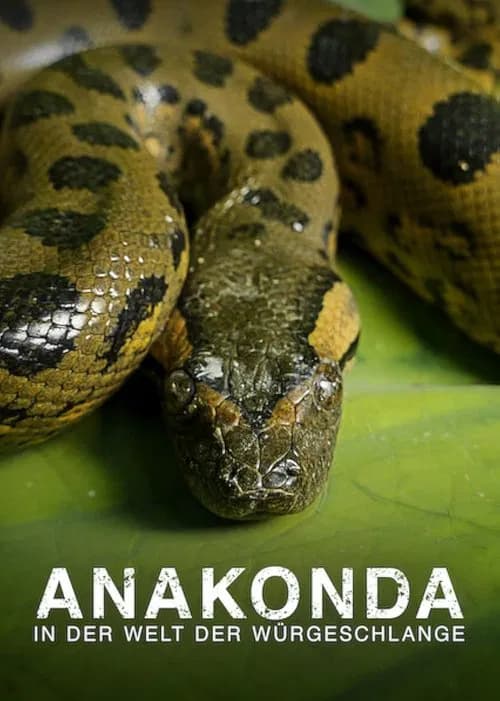 Anaconda: Silent Killer poster