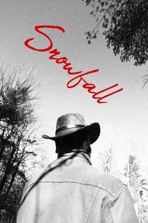 Snowfall (2026) poster