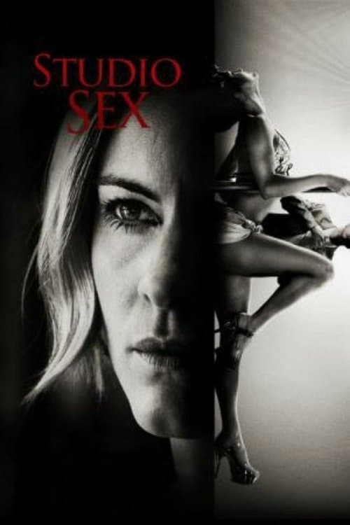 Annika Bengtzon: Crime Reporter - Studio Sex (2012) poster