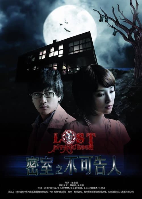 Lost in Panic Room (2010) poster