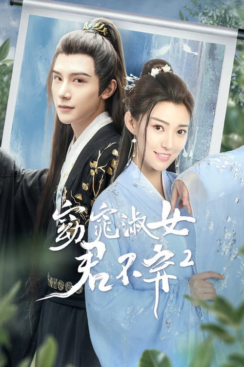 窈窕淑女君不弃2 poster