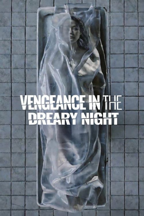 Vengeance in the Dreary Night (2025) poster