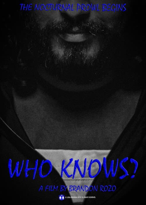 Who Knows? (2024) poster