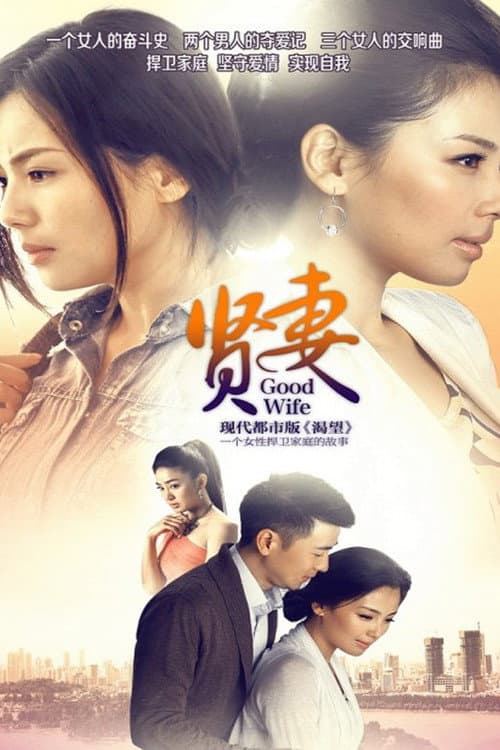 Good Wife (2013) poster