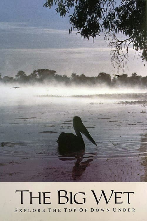 The Big Wet poster