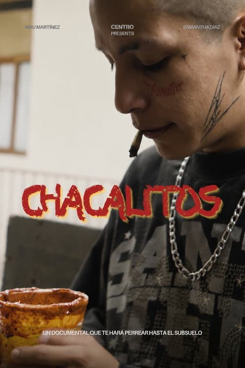 CHACALITOS poster