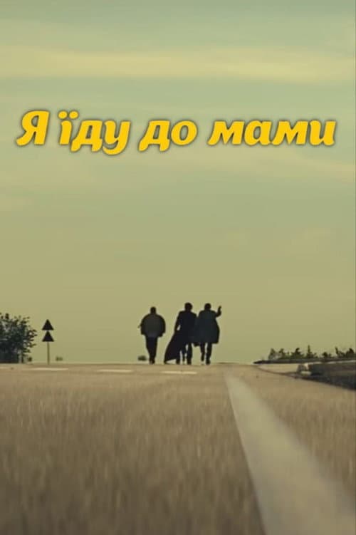 DZIDZIO: I'm going to my mom (2015) poster