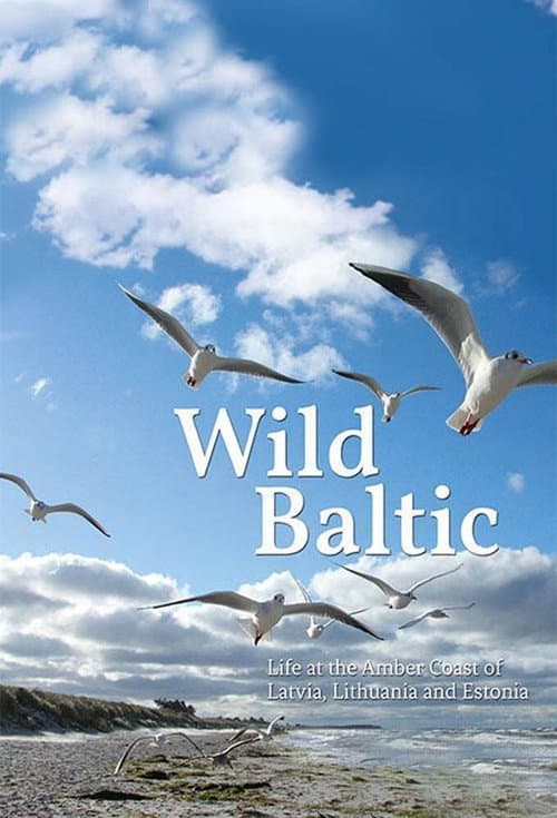 Wild Baltic (2018) poster