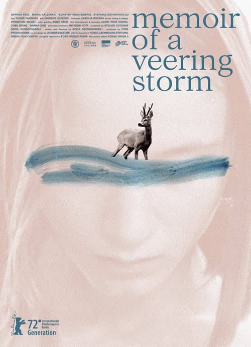 Memoir of a Veering Storm poster