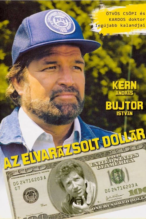 The Enchanted Dollar (1986) poster