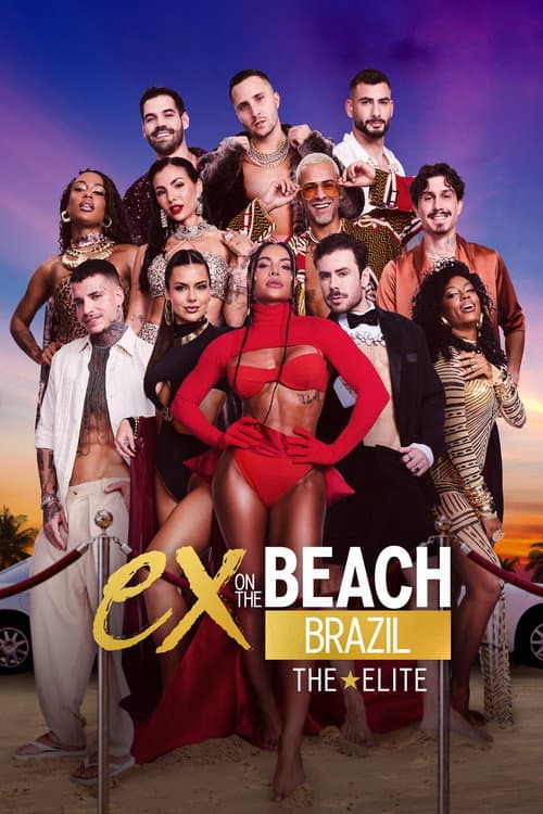 De Férias com o Ex Diretoria (2024) poster