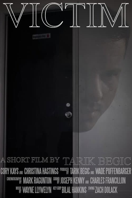 Victim (2019) poster