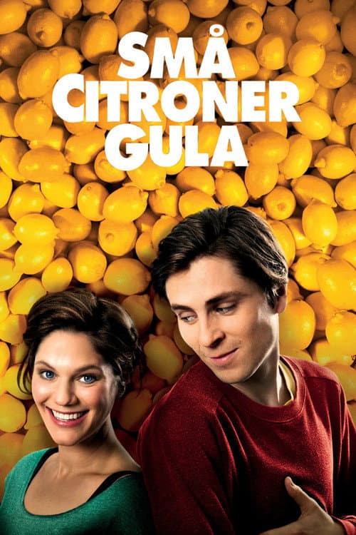 Love and Lemons (2013) poster